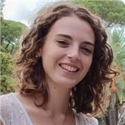 Studentessa universitaria, (diploma 100/100 maturità classica), offre ripetizioni di italiano, latino, greco e altre materie umanistiche